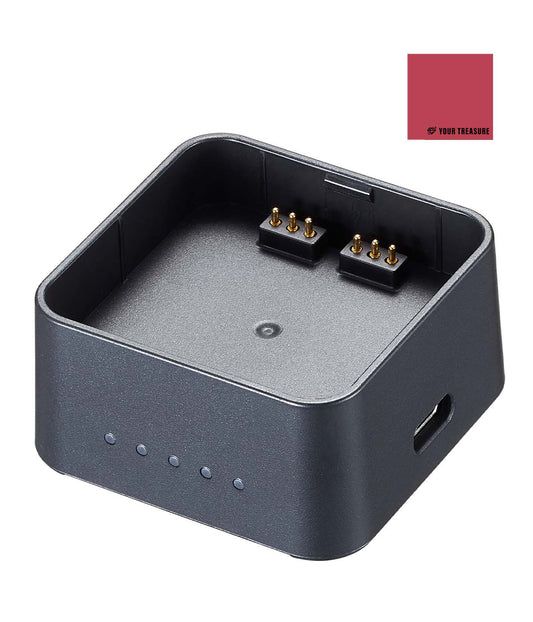 Godox UC30 充電器 USB-C PD充電対応  [ AD200ProII WB29B, AD300Pro WB100P 対応]