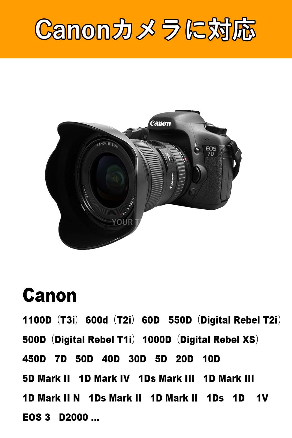 Canon EOS 5D Mark III + Canon 40mm 説明書付-