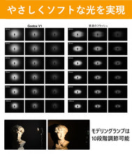 画像をギャラリービューアに読み込む, [日本正規代理店/技適マーク]GodoxV1-CCANON対応フラッシュストロボ76WS2.4GTTLラウンドヘッド1/8000HSS[1年保証/日本語説明書/クロス/セット品](V1C)
